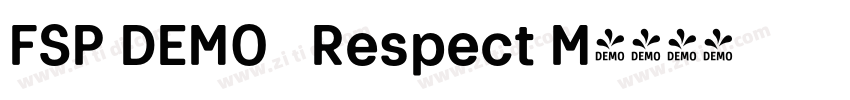 FSP DEMO   Respect M字体转换